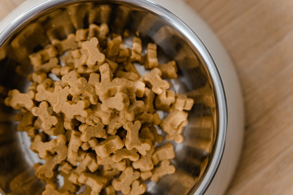 ¿Como elegir la mejor comida para perro?