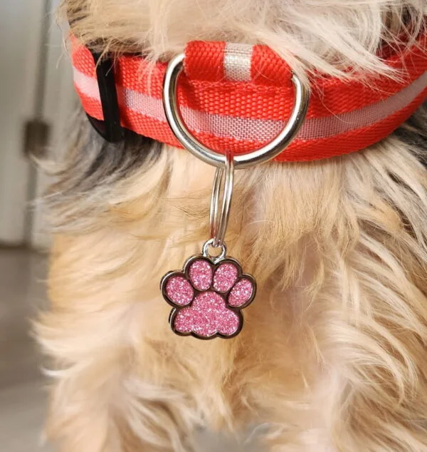 Placa de identificación para perro con grabado QR Forma de Pata - Imagen 2