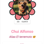 Como configurar colores a tu plaquita de identificación QR Inteligente