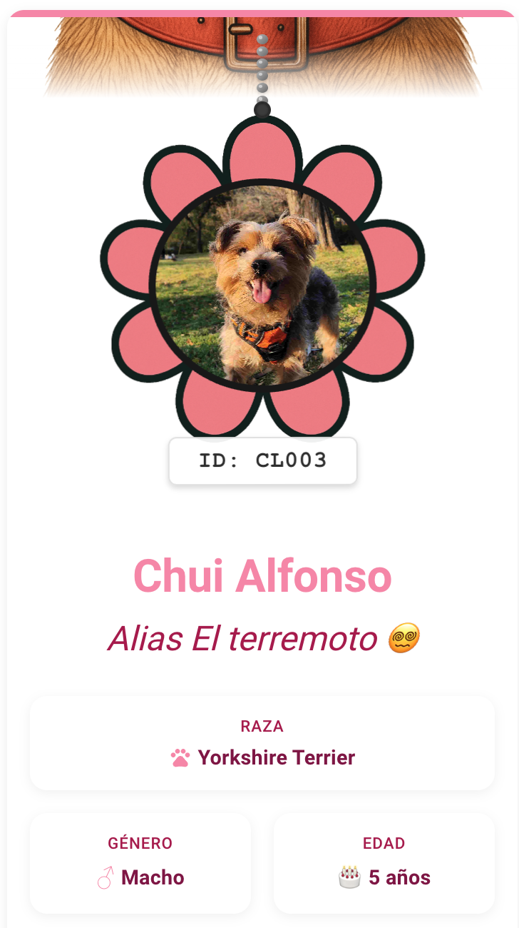 Como configurar colores a tu plaquita de identificación QR Inteligente