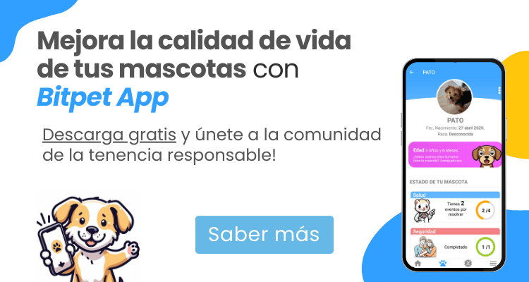 Mejora la calidad de vida de tus mascotas con Bitpet App