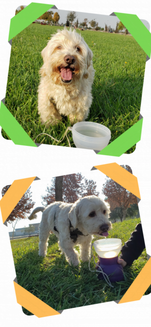 Diseño sin título-7